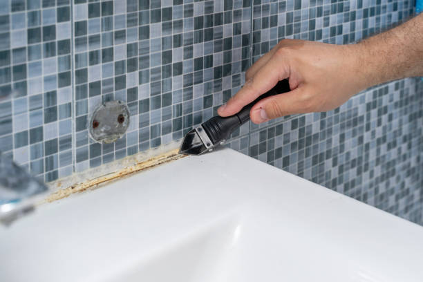 Best Residential Mold Removal  in Delhi Hills, OH